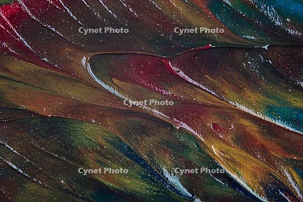 Close up of different color oil paint [IBR123878819]