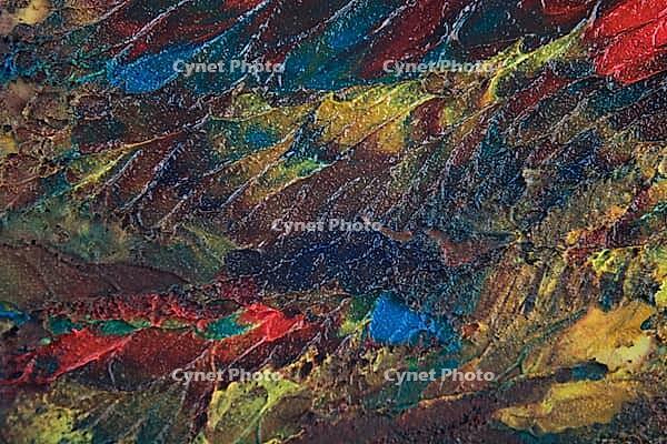 Close up of different color oil paint [IBR123878820]
