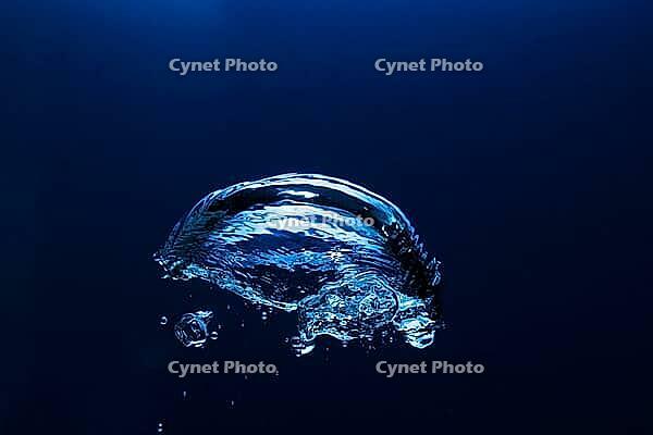 Abstract underwater oxygen bubble with blue backdrop [IBR123878840]