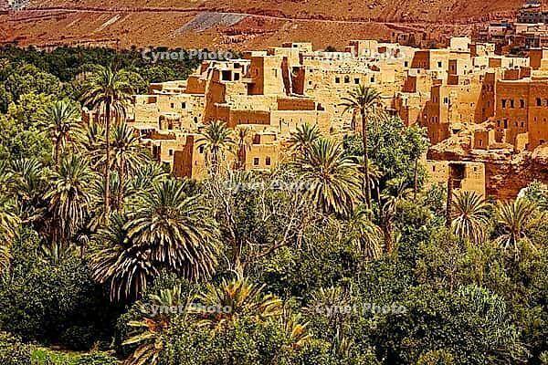 Old city surrounded by the palm and date trees in Ouarzazate, Morocco [IBR123878848]