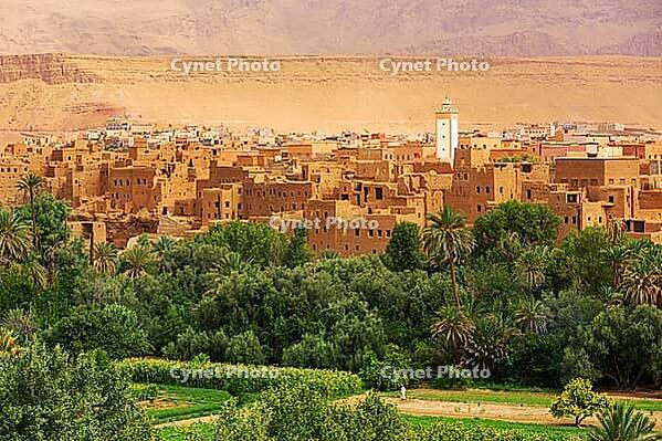 Old city surrounded by the palm and date trees in Ouarzazate, Morocco [IBR123878849]