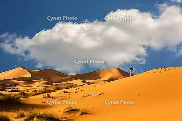 Dunes of Sahara Desert, Morocco [IBR123878850]