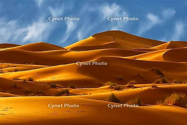 Dunes of Sahara Desert, Morocco [IBR123878851]