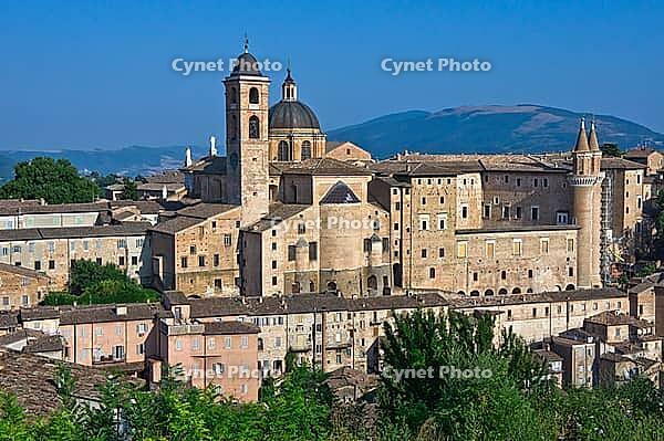 SONY DSC [IBR123878883]