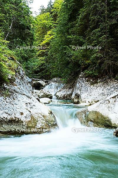 Raging clean fresh mountain river flowing between rocks [IBR123878897]