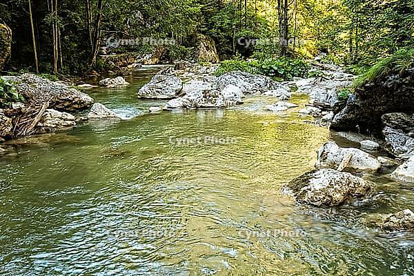 Raging clean fresh mountain river flowing between rocks [IBR123878903]