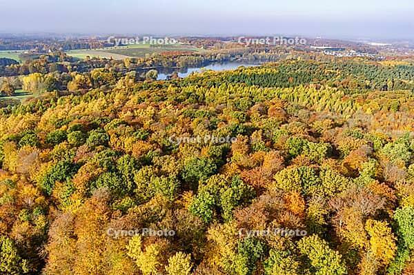 Aerial view of Heger Holz in autumn with Rubbenbruchsee, Osnabrück, Lower Saxony, Germany [IBR123893375]