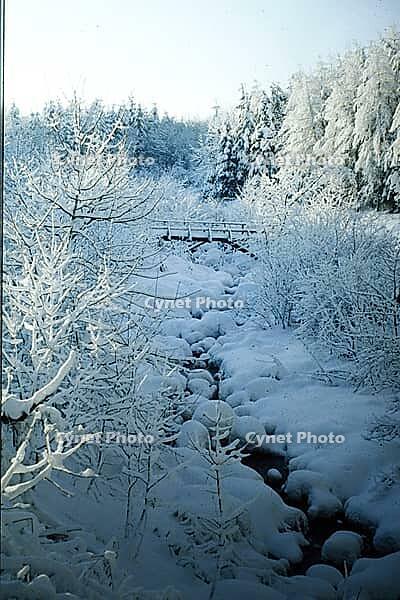Winter landscape, Burstream, North Rhine-Westphalia [IBR123895584]