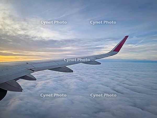 Peaceful aerial view from airplane window to the large wing soaring over a sea of clouds with the sun rising above the horizon, casting a warm glow and illuminating the cloudscape during flight [IBR123895598]