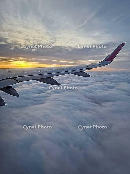 Peaceful aerial view from airplane window to the large wing soaring over a sea of clouds with the sun rising above the horizon, casting a warm glow and illuminating the cloudscape during flight [IBR123895599]