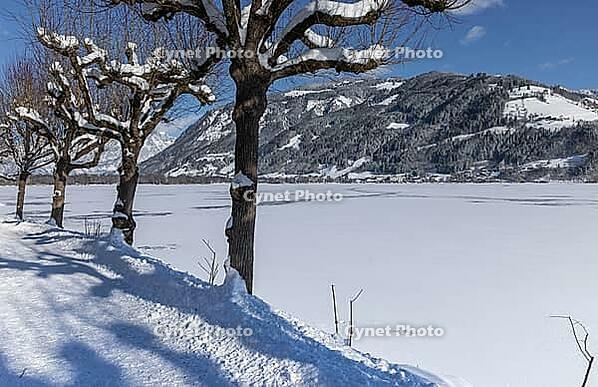 Landscape panorama, Zell am See, lake, snow, winter, sun, Pinzgau [IBR123895611]