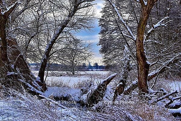 Wintery floodplain landscape along the Schmutter in the Augsburg Western Wälder nature park Park, Bavaria, Germany [IBR112941838]
