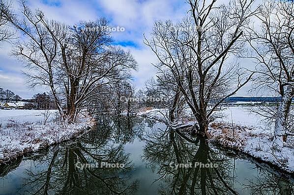 Wintery floodplain landscape along the Schmutter in the Augsburg Western Wälder nature park Park, Bavaria, Germany [IBR112941842]