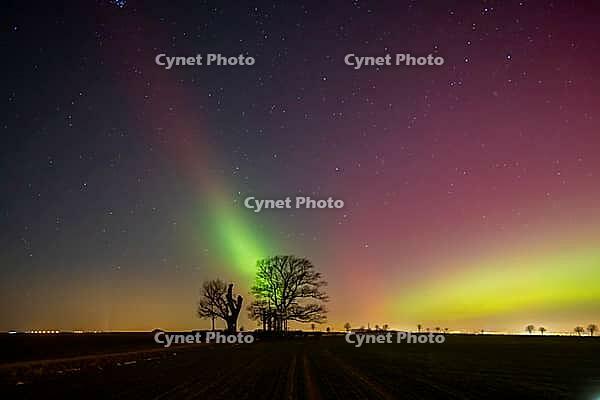 Strong coronary mass ejections on the Sun have sent correspondingly intense storms of charged particles towards Earth, where they have also caused auroras over Germany. These auroras are produced in the atmosphere at an altitude of 70 to 800 kilometers wh [IBR112941847]