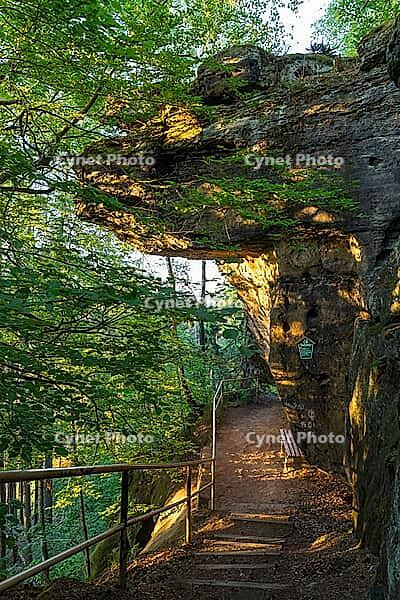 Baptism stone on Bernhardstein in the morning, Saxon Switzerland, Saxony, Germany [IBR123911473]
