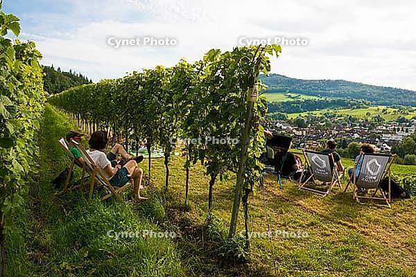 Wine tasting in the vineyards, Freiburg im Breisgau, Black Forest, Baden-Württemberg, Germany [IBR123911496]