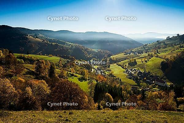 Autumn-colored forest, Wiesental, Black Forest, Baden-Württemberg, Germany [IBR123911502]