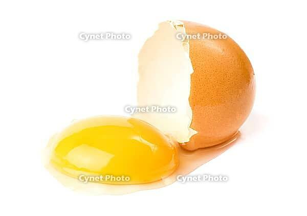 Broken egg [IBR123980364]