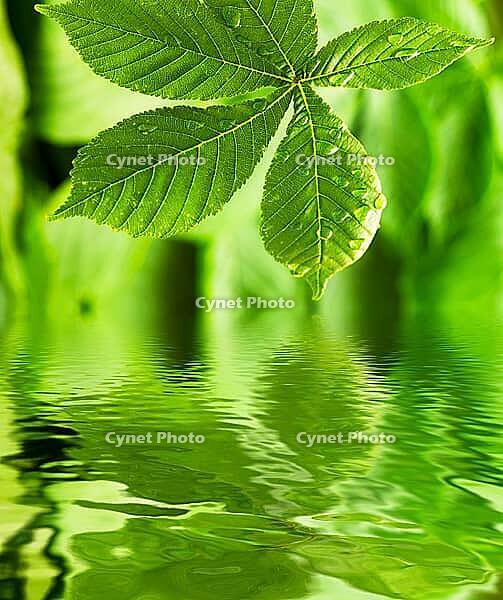 OLYMPUS DIGITAL CAMERA [IBR123980376]