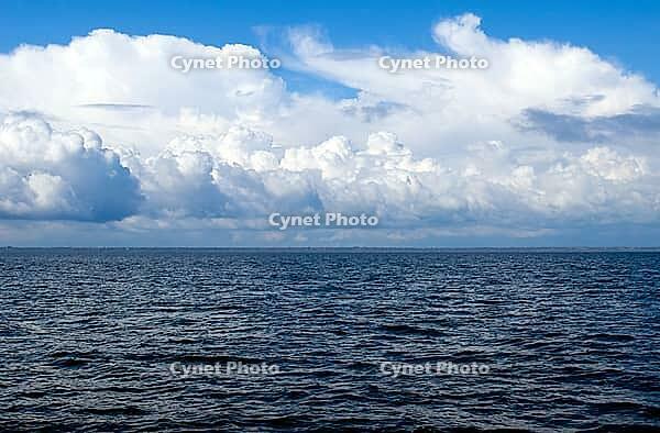 OLYMPUS DIGITAL CAMERA [IBR123980379]