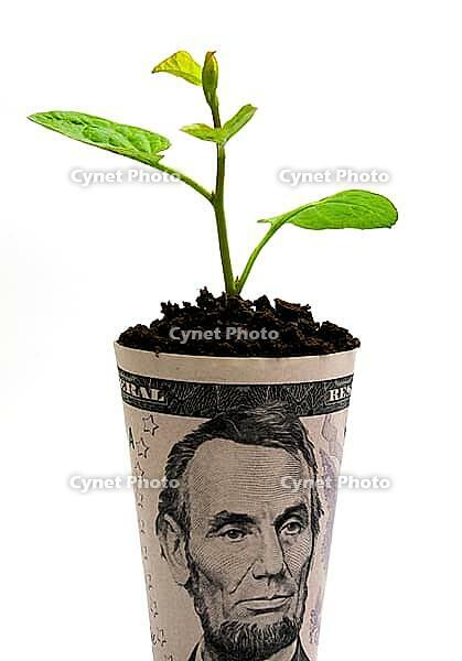 OLYMPUS DIGITAL CAMERA [IBR123980393]