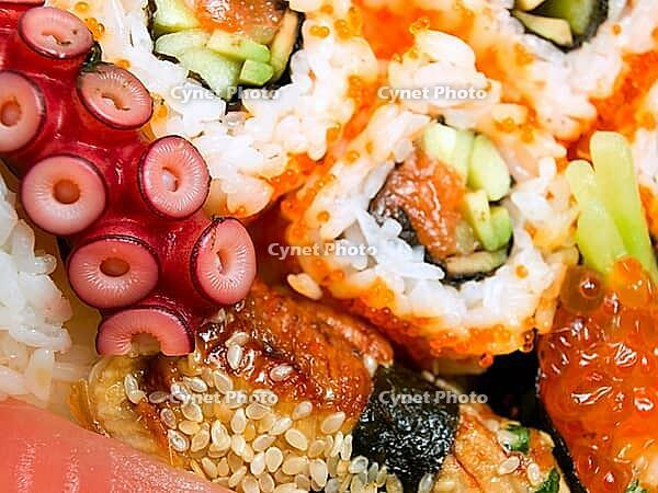 OLYMPUS DIGITAL CAMERA [IBR123980402]