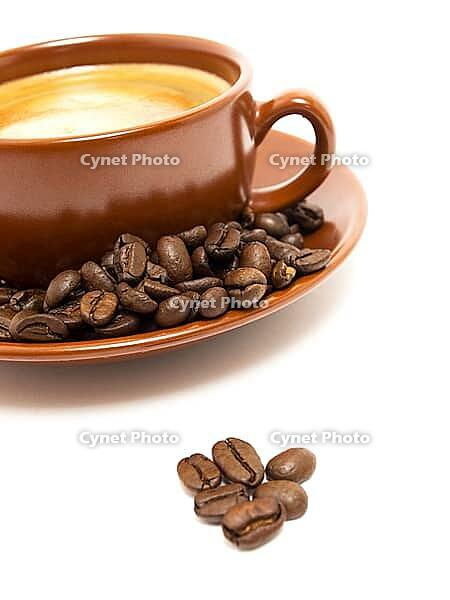 OLYMPUS DIGITAL CAMERA [IBR123980406]