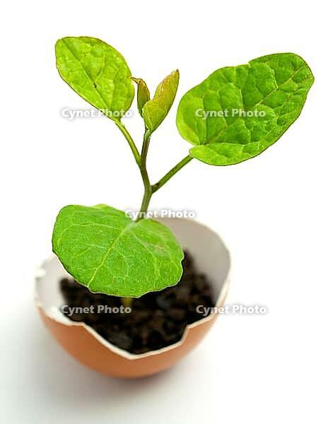 OLYMPUS DIGITAL CAMERA [IBR123980408]