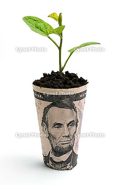 OLYMPUS DIGITAL CAMERA [IBR123980409]