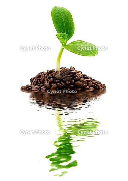 OLYMPUS DIGITAL CAMERA [IBR123980410]