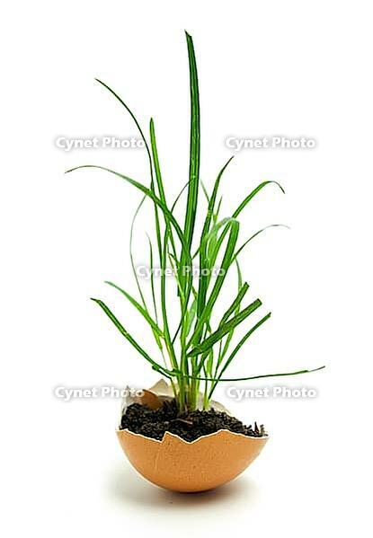 OLYMPUS DIGITAL CAMERA [IBR123980412]