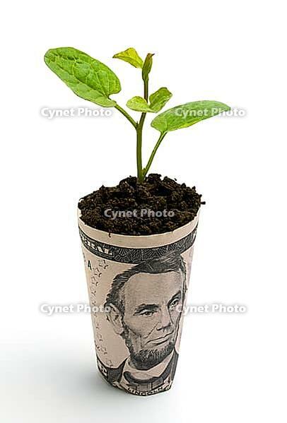 OLYMPUS DIGITAL CAMERA [IBR123980414]