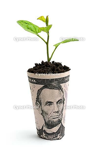 OLYMPUS DIGITAL CAMERA [IBR123980419]