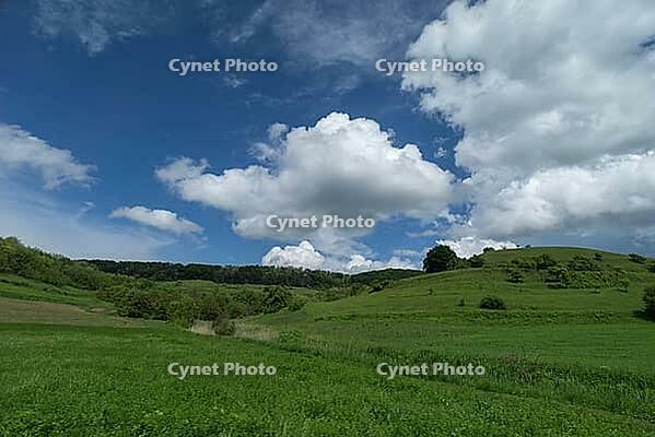 Cluster clouds (cumulus) over the landscape in the southern Carpathian Arc, Romania [IBR123990972]