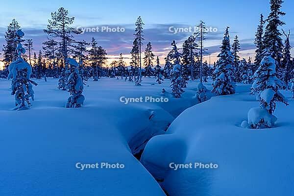 Snowy swamp landscape, Norrbotten, Lapland, Sweden, February 2020 [IBR123991015]