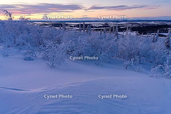 Winter landscape, Norrbotten, Lapland, Sweden, February 2020 [IBR123991016]
