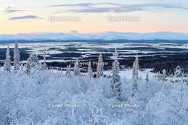 Winter landscape, Norrbotten, Lapland, Sweden, February 2020 [IBR123991017]