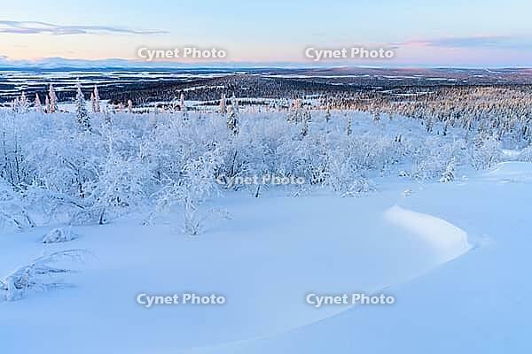 Winter landscape, Norrbotten Lapland, Sweden, February 2020 [IBR123991019]