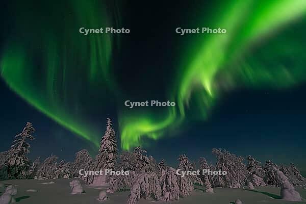 Northern Lights (Aurora borealis) over a snowy winter landscape, Muonio, Lapland, Finland, January 2019 [IBR123991023]