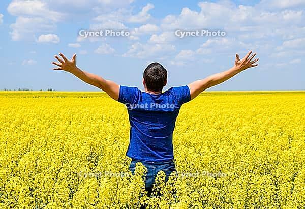 Free man in the field. The man raised his hands up. Field of flowering rape [IBR123999803]