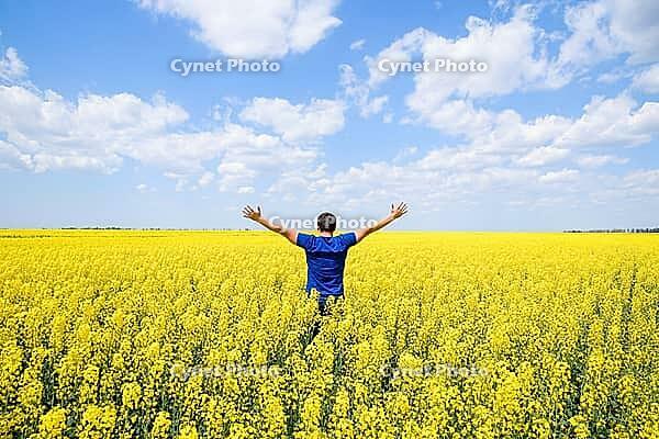 Free man in the field. The man raised his hands up. Field of flowering rape [IBR123999804]