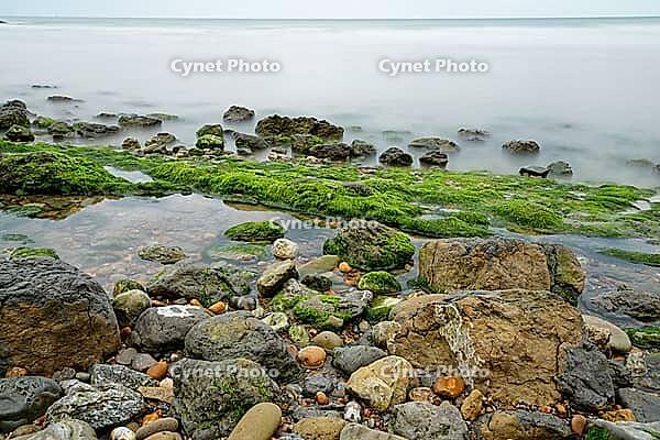Coast of Brittany, Brittany, France [IBR123999811]