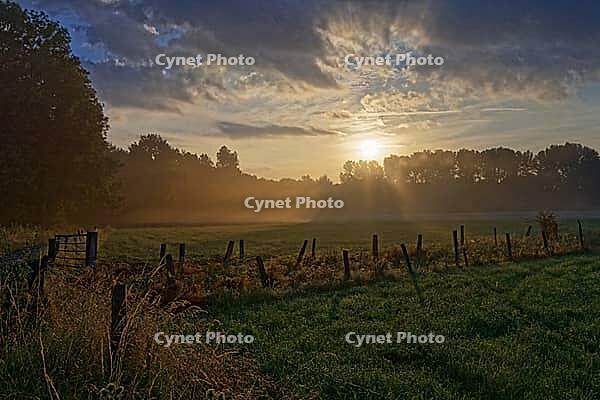 Sunrise over the forest and fields on the Lower Rhine, light fog over the meadows, Kempen, North Rhine-Westphalia, Germany [IBR123999831]