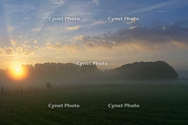 Sunrise over the forest and fields on the Lower Rhine, light fog over the meadows, Kempen, North Rhine-Westphalia, Germany [IBR123999833]