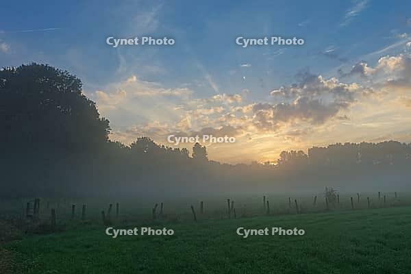 Sunrise over the forest and fields on the Lower Rhine, light fog over the meadows, Kempen, North Rhine-Westphalia, Germany [IBR123999835]