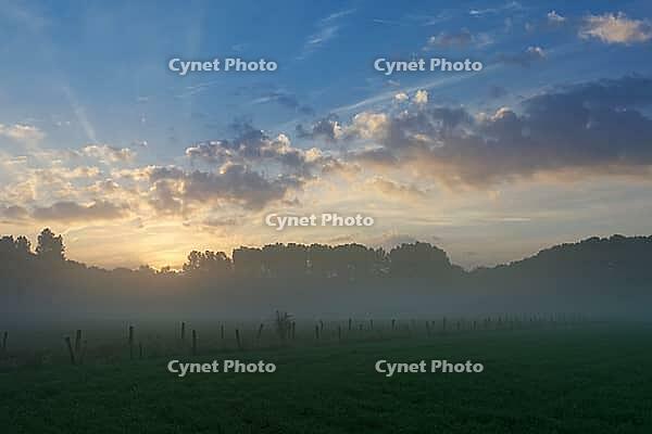Sunrise over the forest and fields on the Lower Rhine, light fog over the meadows, Kempen, North Rhine-Westphalia, Germany [IBR123999837]