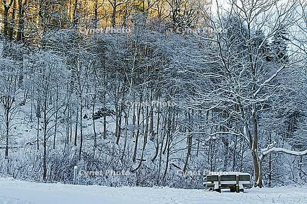 Winterwald, Wuppertal, Bergisches Land, North Rhine-Westphalia, Germany [IBR123999870]