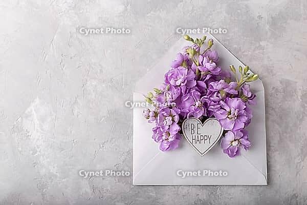 Lilac matthiola flowers in an envelope over light gray stone background, flat lay with copy space [IBR123999875]