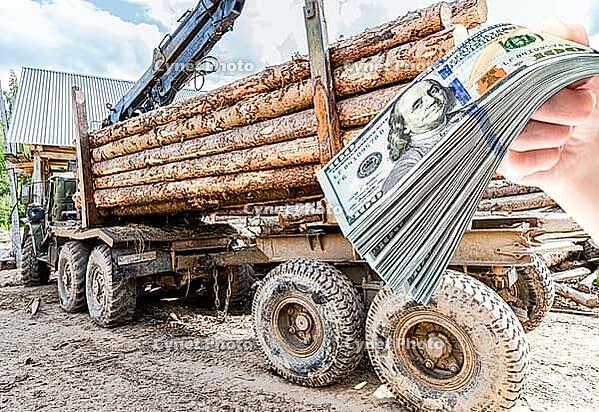 Timber carrier with large sawn logs at the wood storage place. Forest industry [IBR124036447]