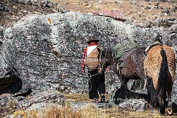 Horse trekking at Chillca Tambo, Ausangate Trek, Cordillera Vilcanota, Peru [IBR124036457]